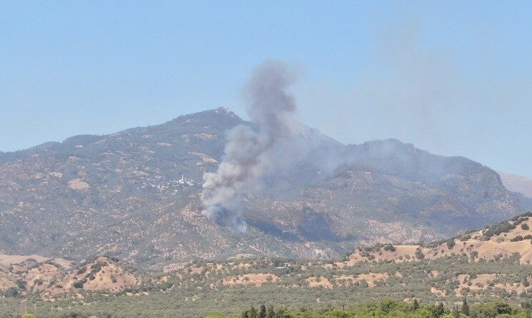 Aydın’ın Efeler ilçesindeki zirai alanda yangın çıktı. Edinilen bilgiye göre,