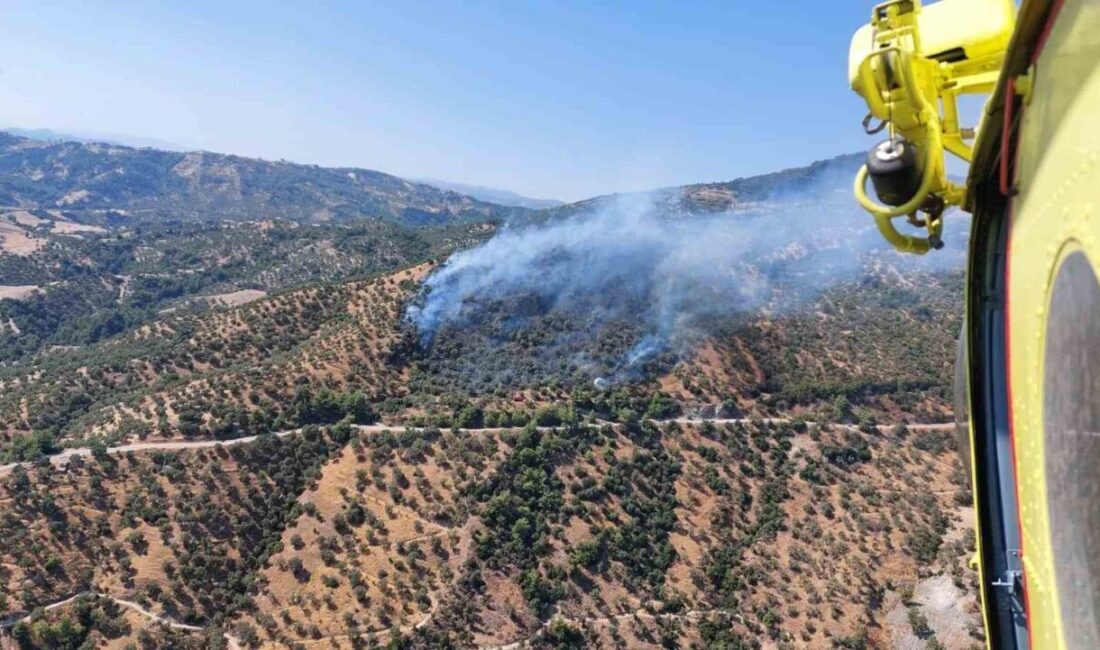 Aydın’ın Efeler ilçesindeki zirai alanda çıkan yangına havadan ve karadan