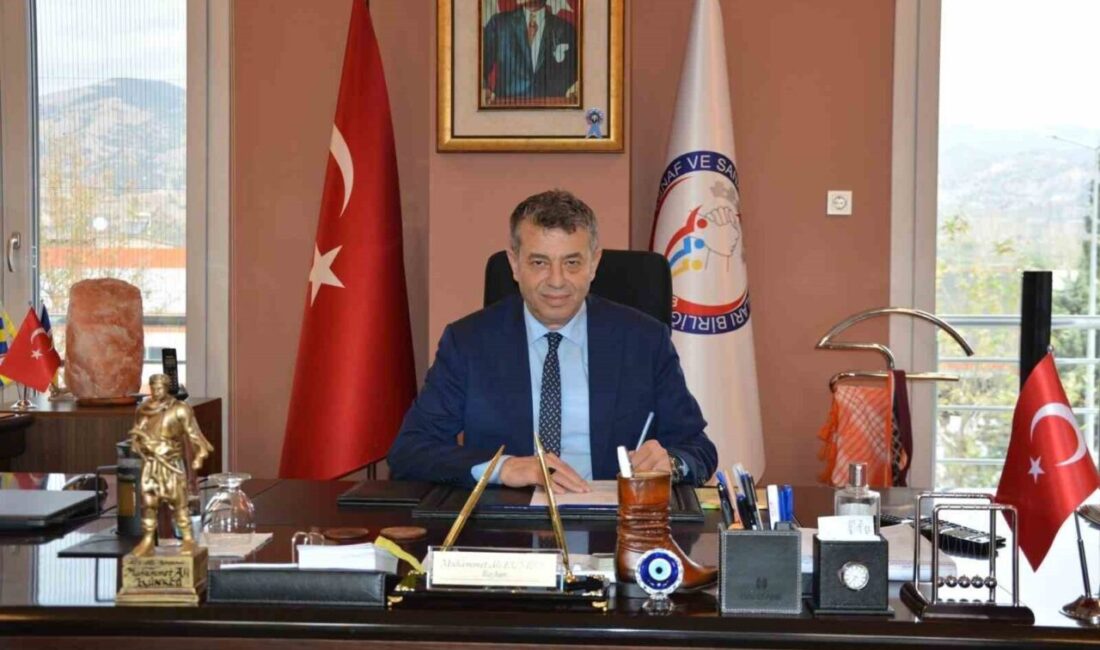 Resmi Gazete’de yayımlanan ve Aydın’ın da aralarında bulunduğu 30 büyükşehirde