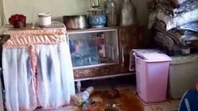 Giresun’un Dereli ilçesinde son dönemde çok sayıda köy ve bağlı