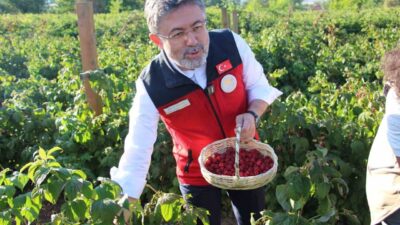Tarım ve Orman Bakanı İbrahim Yumaklı, Bolu’da genç bir üreticinin