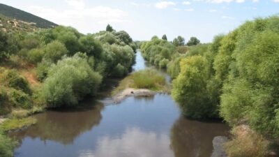 İzmir’de Bergama Ovası’nı besleyen Bakırçay’ın su seviyesi gözle görülür biçimde