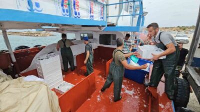 1 Eylül’de av sezonunun açılmasıyla balıkçılar Saros Körfezi’nde ’vira bismillah’