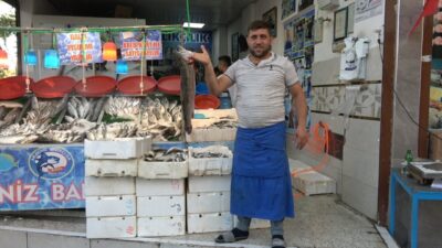 Kilis’te balık sezonunun açılmasıyla tezgahlarda çupra, levrek, somon ve hamsi