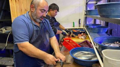 Bu yıl av sezonunun bereketli geçtiğini belirten balıkçı esnafı Cengizhan