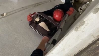 Balıkesir’de beşinci kattan havalandırma boşluğuna düşen kediyi itfaiye ekipleri uzun