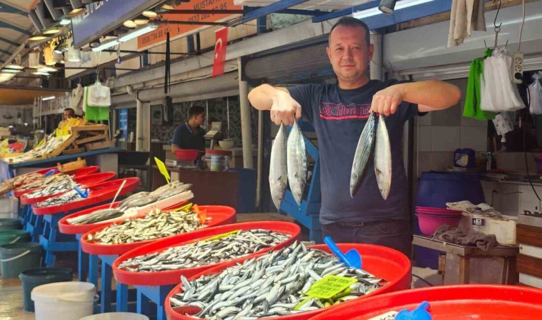 Yeni av sezonuyla birlikte “vira bismillah” diyerek denize açılan balıkçılar,