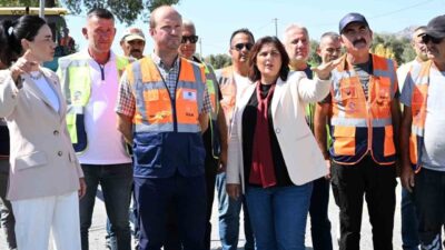 Aydın Büyükşehir Belediye Başkanı Özlem Çerçioğlu, AK Parti Aydın Milletvekili