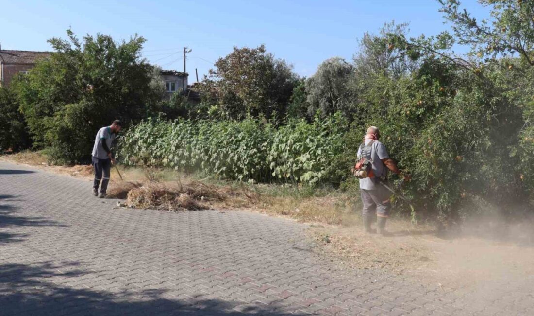Şehrin genel görünümünü iyileştirmek ve temizlik standartlarını artırmak için yeni