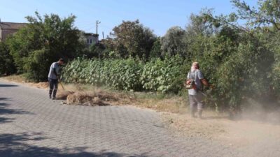 Şehrin genel görünümünü iyileştirmek ve temizlik standartlarını artırmak için yeni