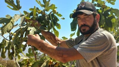 Türkiye’de ilk kez gerçekleştirilen çift kol nakliyle tıp tarihine geçen