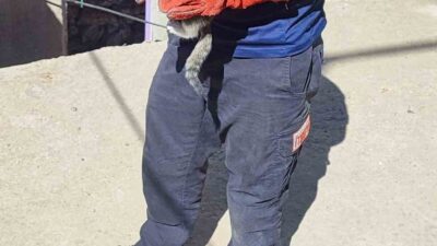 Batman’ın Huzur Mahallesi’nde iki duvar arasına sıkışan kedi, itfaiye ekiplerinin