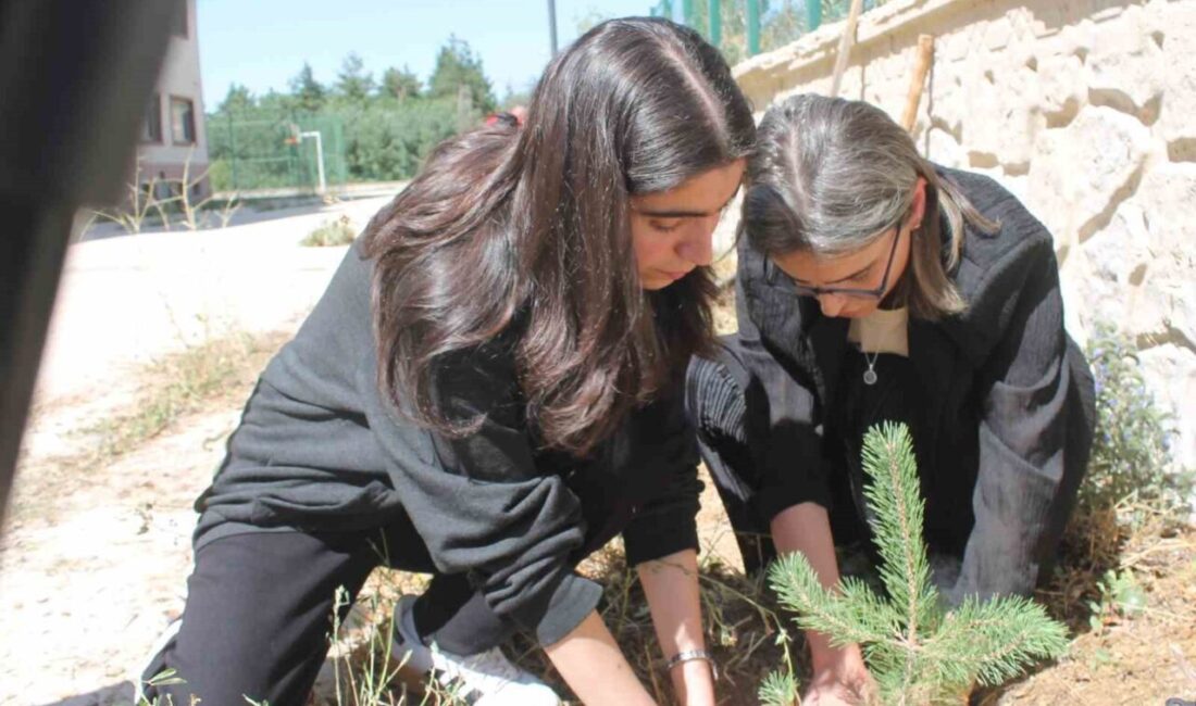 Bayburt’ta öğrenciler fidanları toprakla buluşturup ‘Yeşil Vatan’ için geleceğe nefes oldular Türkiye Yüzyılı Maarif Modeli kapsamında başlatılan ’Her Çocuk Bir Fidan,