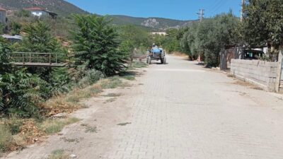 Bilecik merkeze bağlı Bayırköy Beldesi’nde yabani otlar temizlendi. Doğandere mevkiinde
