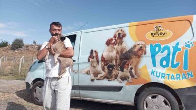 Talas Belediyesi Pati Evi ekipleri, 8 metre derinliğindeki harabe bir