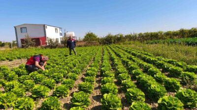 Konya’nın bitkisel üretimde önemli merkezlerinden Beyşehir ilçesinde bulunan meyve ve
