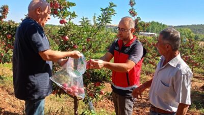 Konya’nın Beyşehir ilçesinde üretimi yapılan elmalarda hasat öncesi pestisit denetimleri