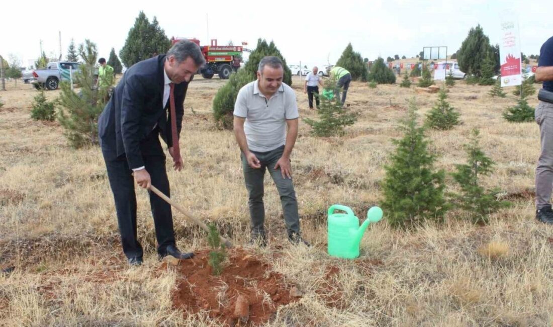Beyşehir’de İlköğretim Haftası’nda fidanlar toprakla buluşturuldu Konya’nın Beyşehir ilçesinde, 2025-2026 eğitim öğretim yılının başlaması dolayısıyla ’Yeşil