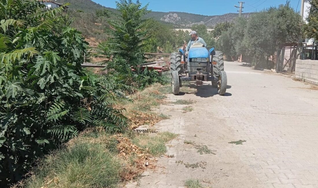 Bilecik’te İl Özel İdaresi tarafından köy yolları yenileniyor. Bilecik’in Söğüt
