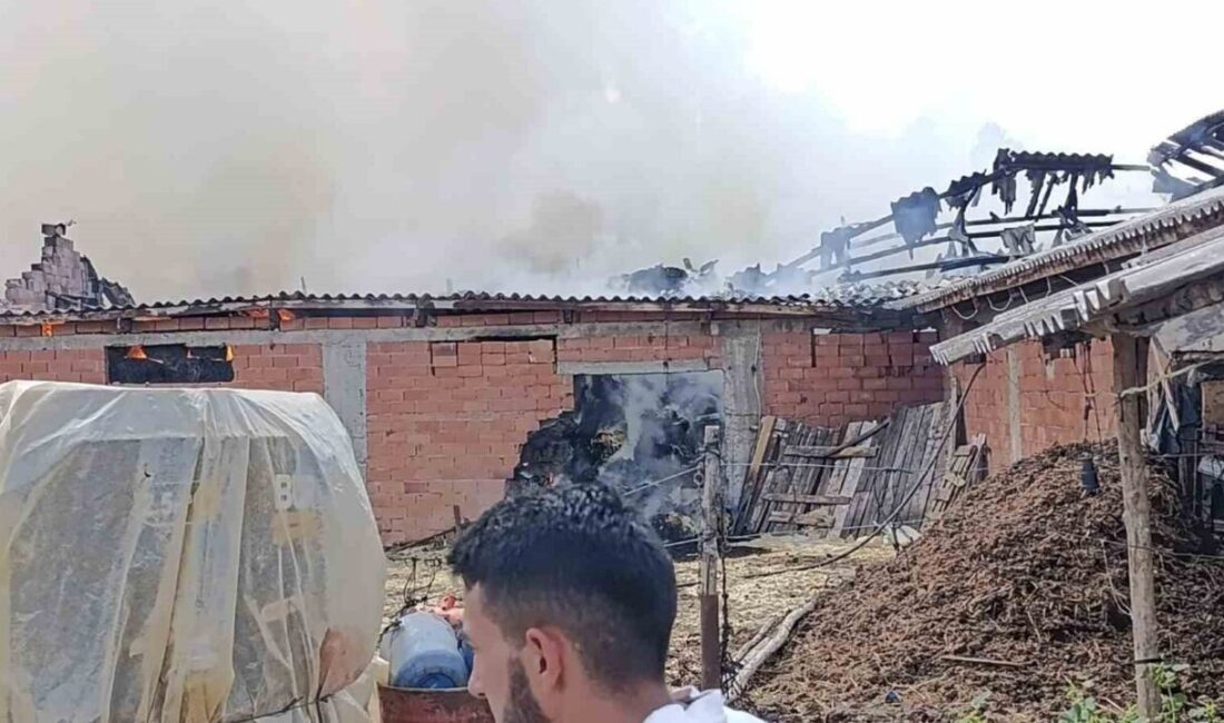 Bilecik’te samanlık alanda yangın çıktı Bilecik’in Pazaryeri ilçesinde samanlık olarak kullanılan bir ahırda yangın çıktı.