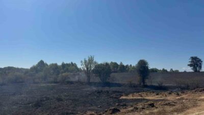 Bilecik’te ormanlık alana yakın bir yerde başlayan anız yangında 2