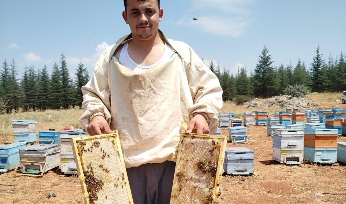 Kahramanmaraş’ta bilgisayar programcısı genç, sevdiği baba mesleği olan arıcılığı tercih