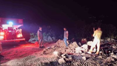 Bingöl’ün iki ilçesinde çıkan orman yangını, ekiplerin havadan ve karadan