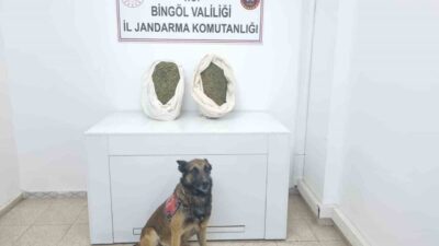 Bingöl’de jandarma ekiplerince düzenlenen operasyonda 9 kilo 892 gram kubar