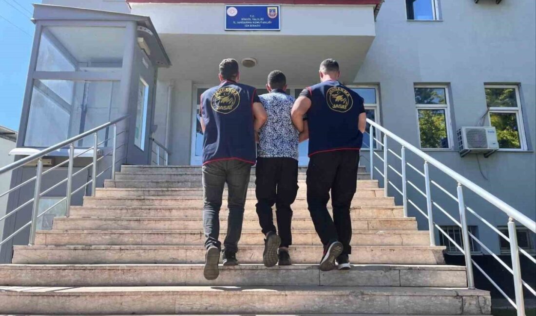Bingöl’de Jandarma Suç Araştırma Timi (JASAT) ekipleri tarafından yapılan çalışmada,