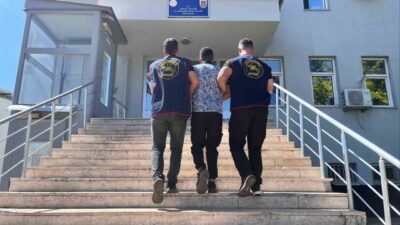 Bingöl’de Jandarma Suç Araştırma Timi (JASAT) ekipleri tarafından yapılan çalışmada,