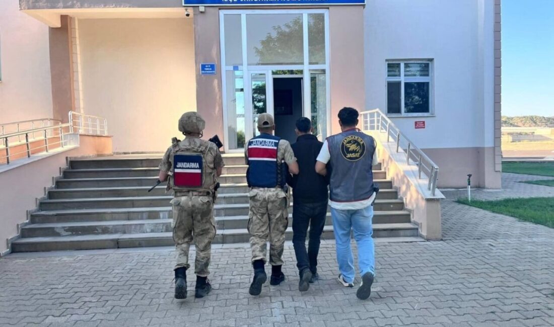 Bingöl’de jandarma ekipleri tarafından yapılan çalışmada, 7 yıl 5 ay