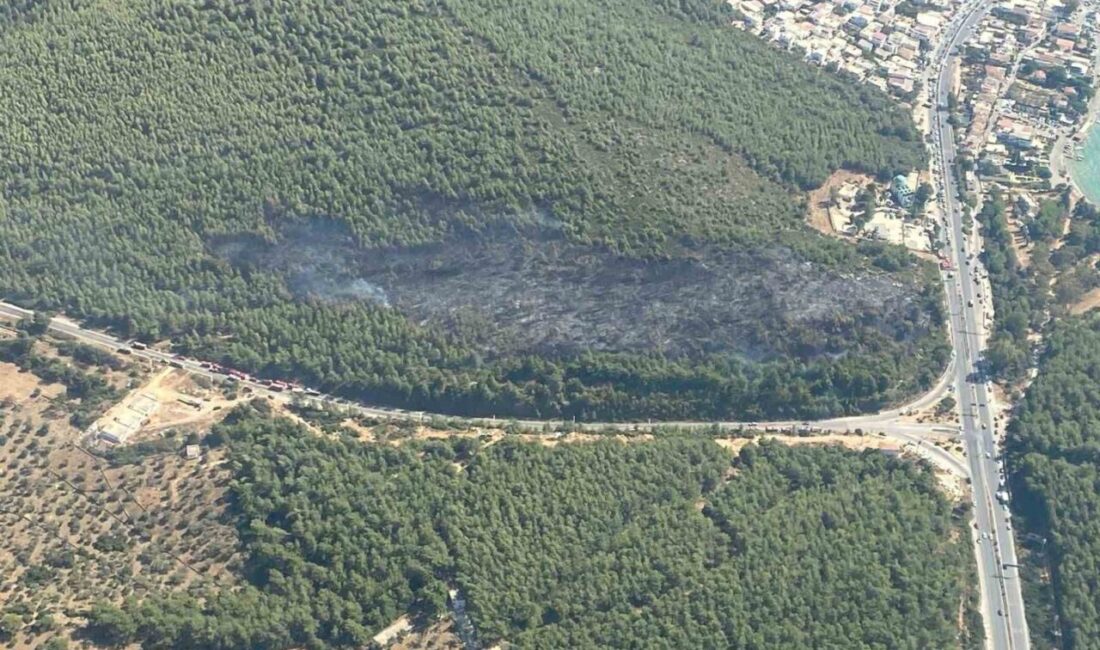 Bodrum orman yangını kontrol altına alındı Muğla’nın Bodrum ilçesinde çıkan orman yangını ekiplerin havadan ve karadan