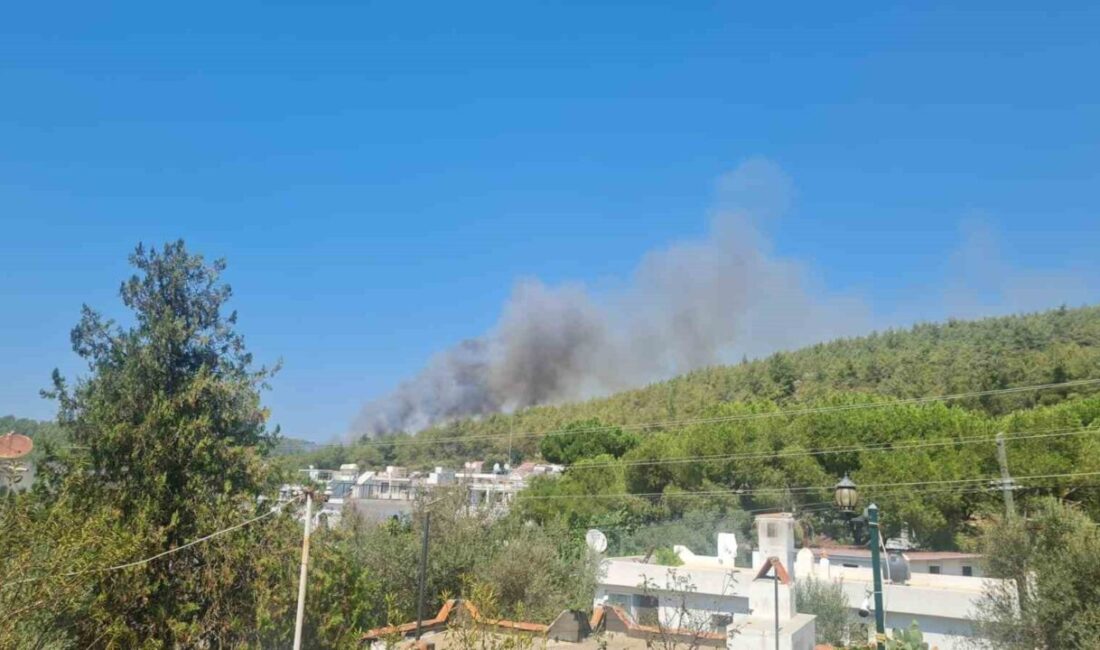 Bodrum’un Güvercinlik Mahallesi’nde ormanlık alanda yangın başladı. Bugün öğleden sonra
