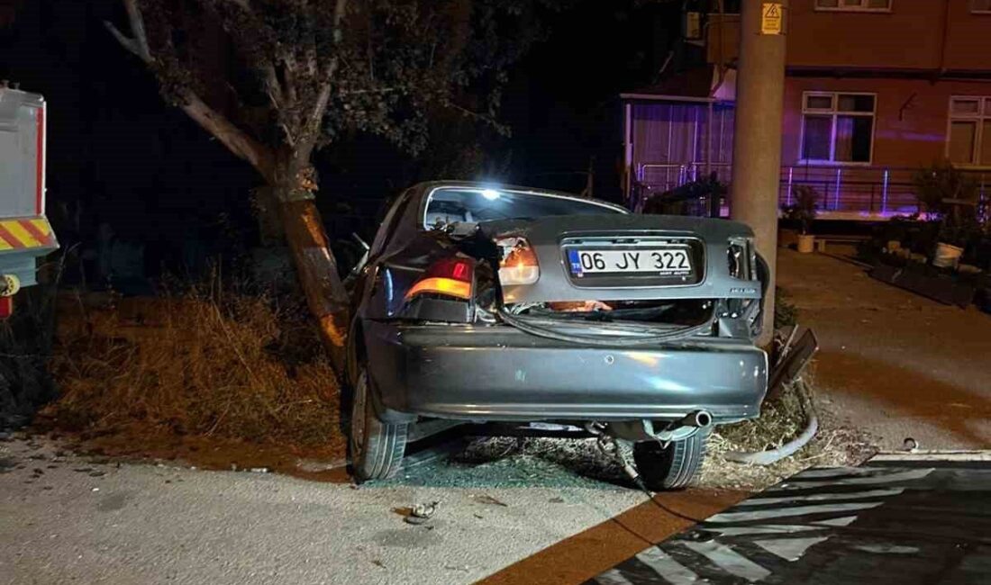 Bolu’da alkollü sürücü ağaca çarptı: 2 yaralı Bolu’da D-100 kara yolunda FIAT marka otomobil, kontrolden çıkarak yol