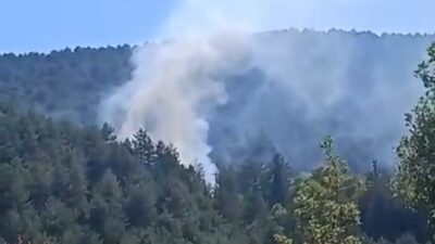 Bolu’nun Küplüce köyü mevkiinde orman yangını çıktı. Çevredeki vatandaşların ihbarı