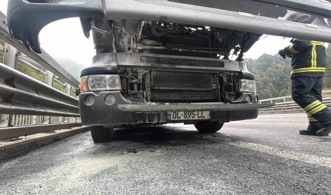 Bolu’da mobilya yüklü kamyon alev aldı: Erken müdahale faciayı önledi TEM Otoyolu’nun Bolu Dağı Tüneli mevkiinde mobilya yüklü kamyonun motor