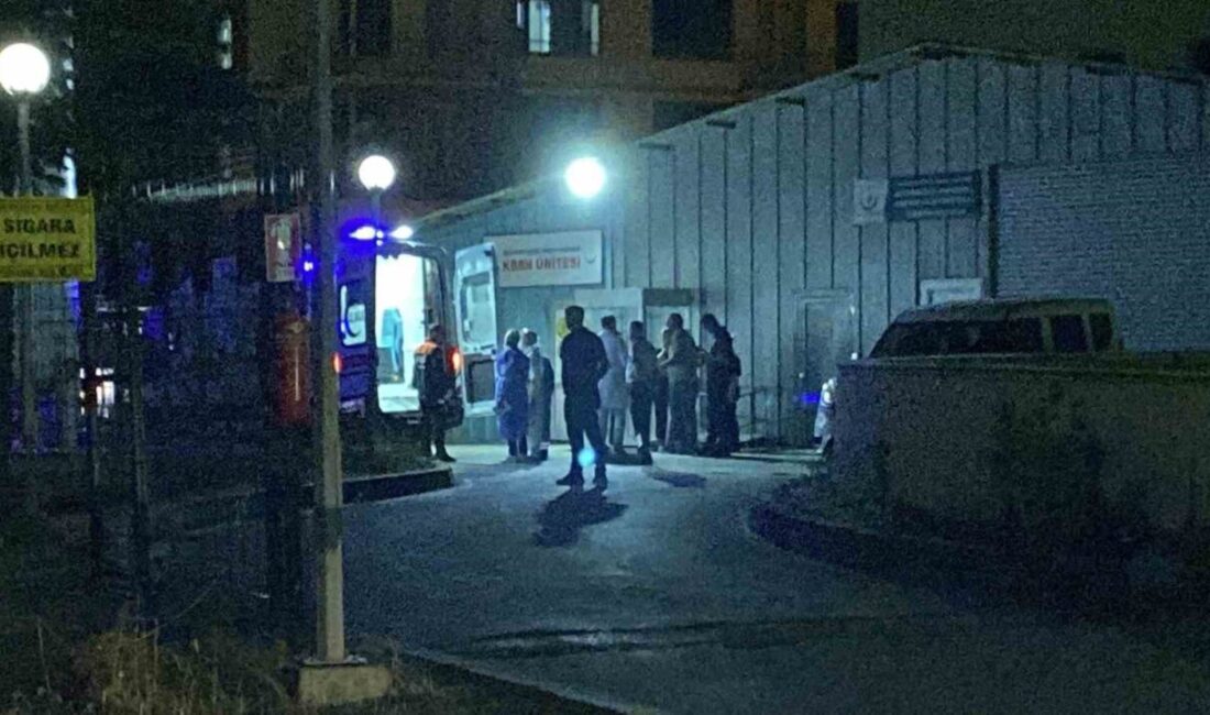 Bolu’da operasyon sırasında gazdan zehirlenen polisler taburcu edildi Bolu’da yakıt deposunda ele geçirilen 58 litre kimyasal maddeyle ilgili
