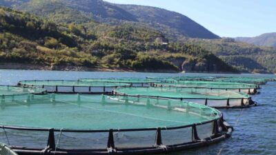 Barajlar şehri olarak bilinen Artvin, son yıllarda kafes balıkçılığıyla da
