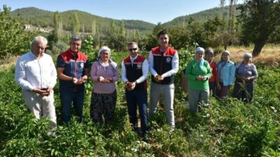 Tarım Arazilerinin Kullanımının Etkinleştirilmesi (TAKE) Projesi ile Aydın’da üreticilere sağlanan