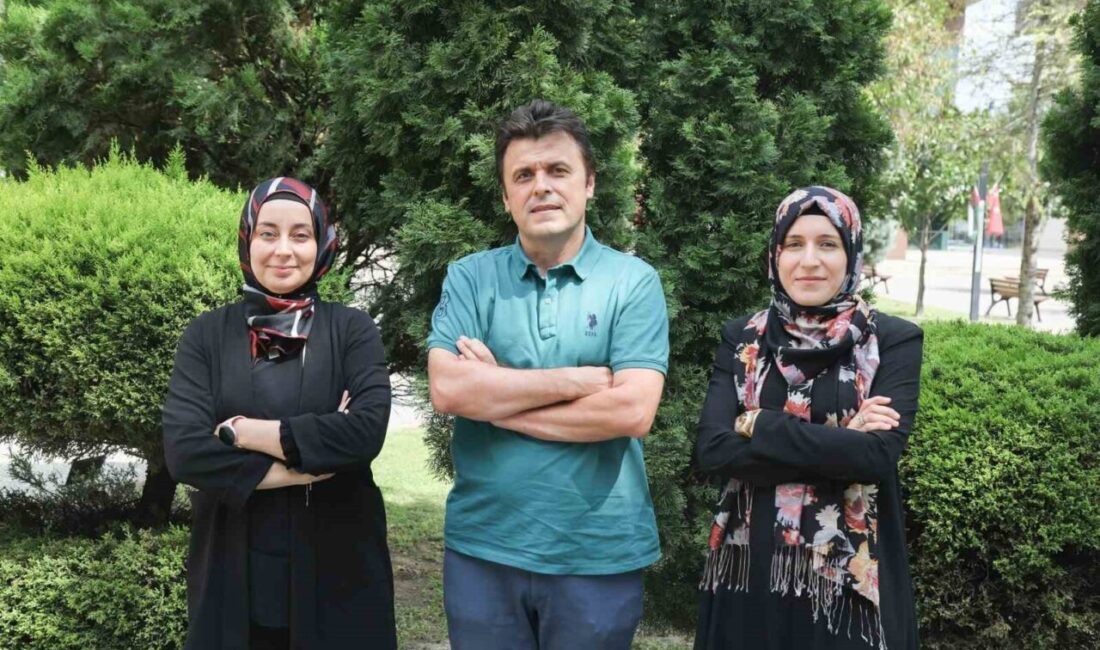 BTÜ matematik eğitimini dijitalleştiriyor Bursa Teknik Üniversitesi (BTÜ) matematik eğitiminde dijital dönüşümü hedefleyen bir