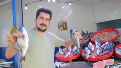 Bilecik’te 1 Eylül’de başlayan sezonla balıkçıların yüzü gülerken, bu yıl