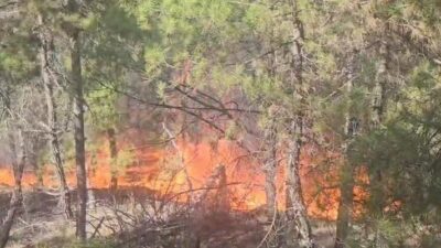 Denizli’nin Buldan ilçesinde ormanlık alanda yangın çıktı. Bölgeye ekipler sevk