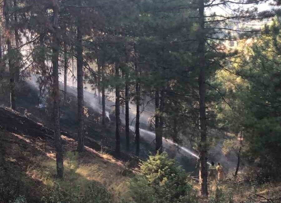 Denizli’nin Buldan ilçesinde ormanlık alana sıçrayan orman yangını, havadan ve