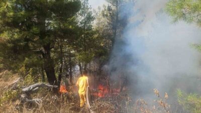 Denizli’nin Buldan ilçesinde ormanlık alana sıçrayan orman yangının kontrol altına