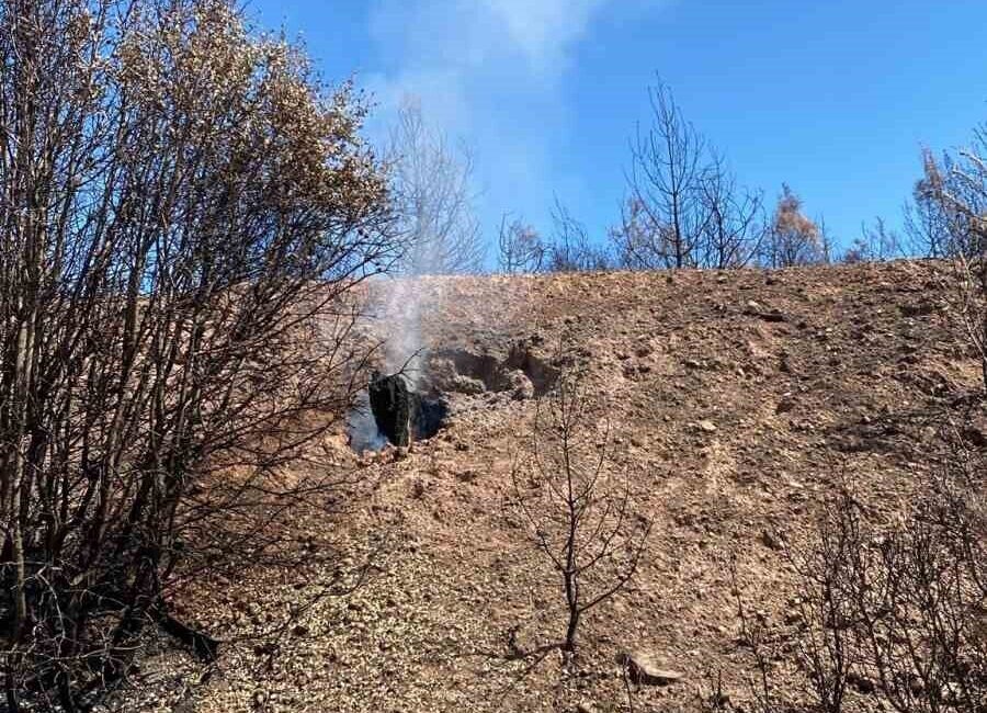 Denizli’nin Buldan ilçesinde yaşanılan orman yangınının söndürülmesinin ardından halk arasında
