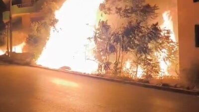 Bursa’nın Gemlik ilçesinde villaların arasında bulunan ağaçlık alandaki alevler, vatandaşlara