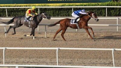 Türkiye Jokey Kulübü (TJK) tarafından Bursa Büyükşehir Belediye Başkanlığı adına