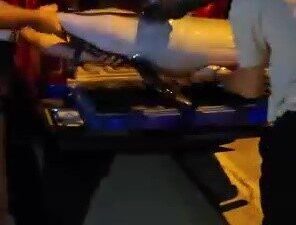 Bursa’da gece saatlerinde ölü yunus balığı kıyıya vurdu. Yunus balığı