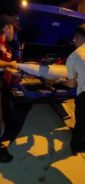 Bursa’da gece saatlerinde ölü yunus balığı kıyıya vurdu. Yunus balığı
