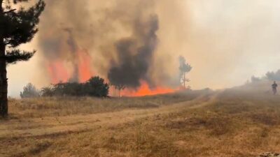 Bursa’nın dağ ilçesi Orhaneli Göynükbelen Mahallesindeki ormanlık alanda yangın itfaiye